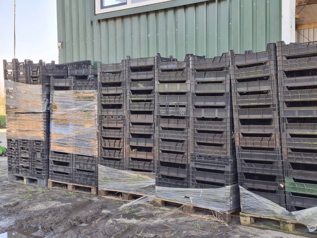 Grote partij Veenman kisten, laag model, Ophalen, Gebruikt, 40 tot 60 cm, 75 tot 100 cm