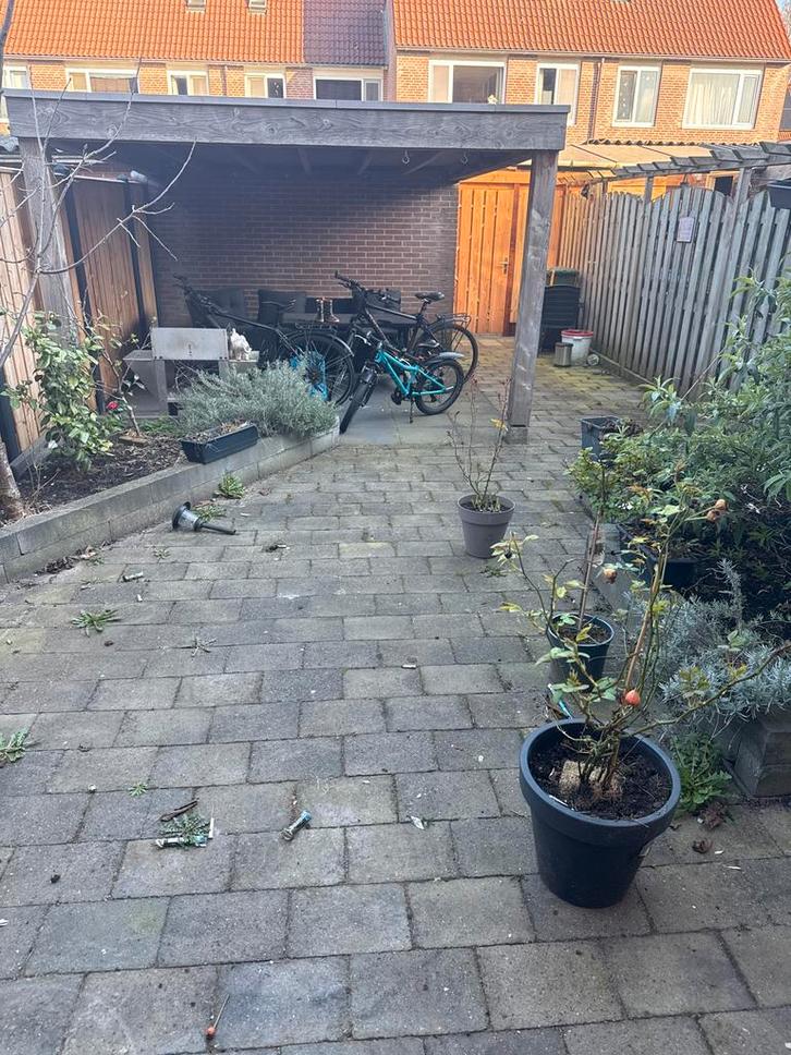 Gebruikte Bestrating - Betonklinkers voor Tuin of Oprit, Tuin en Terras, Tegels en Klinkers, Gebruikt, Terrastegels, Beton, 10 m² of meer