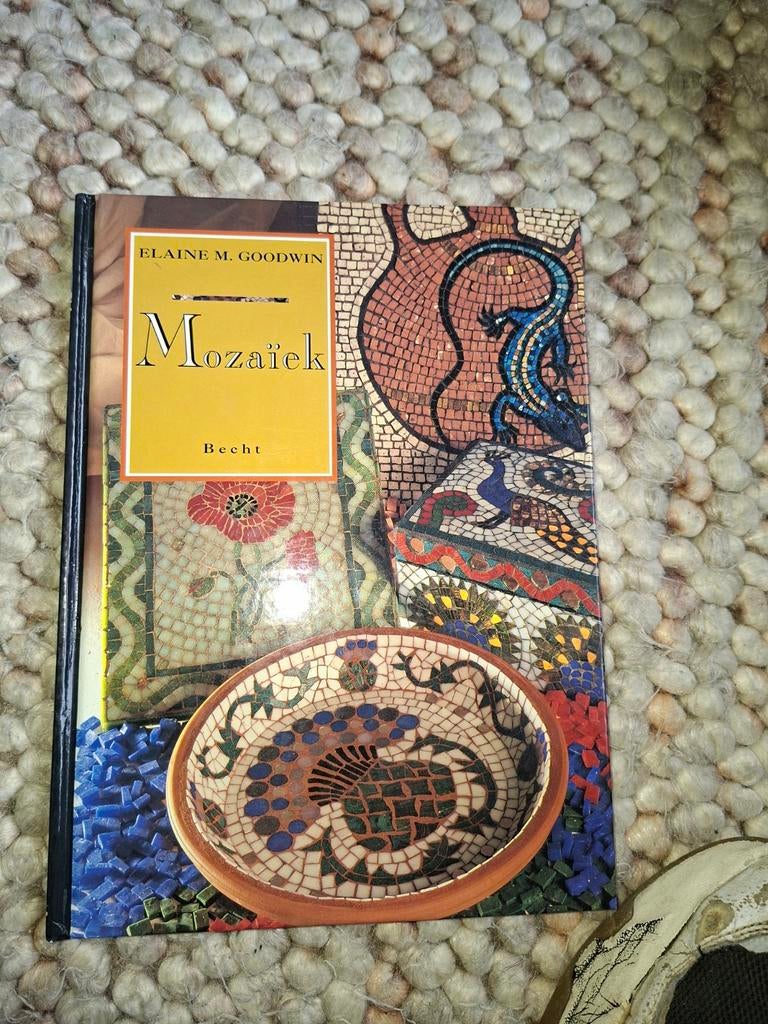 Mozaïek boek van Elaine M. Goodwin, Ophalen of Verzenden