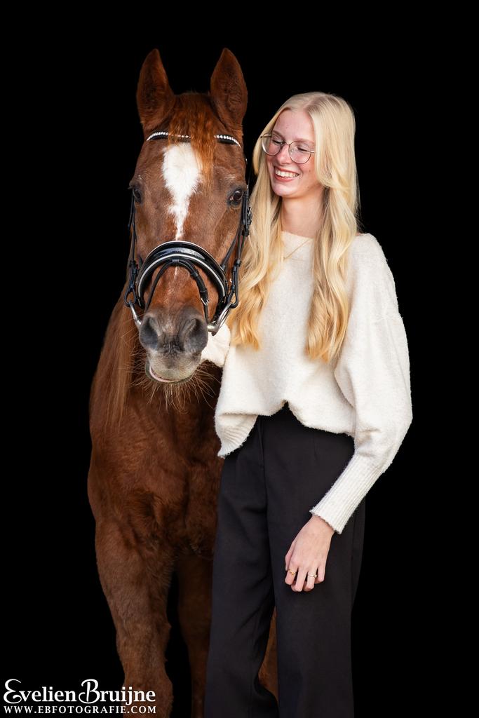Bijrijdpaard gezocht omgeving maren-kessel, Dieren en Toebehoren, Ophalen of Verzenden