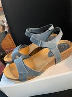 Nieuwe jeansblauwe sandalen maat 40, Kleding | Dames, Schoenen, Blauw, Nieuw, Sandalen of Muiltjes, Ophalen of Verzenden