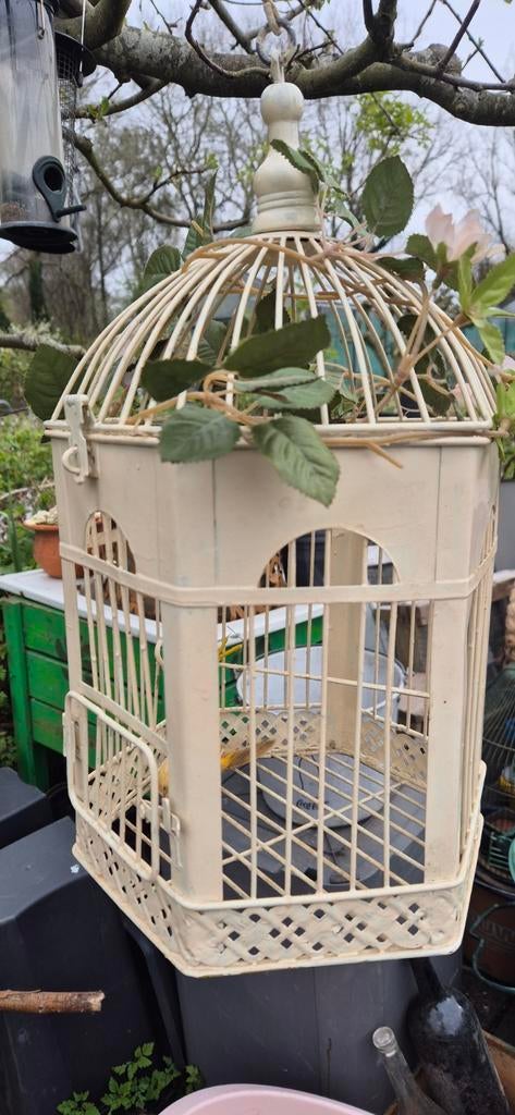 Vintage vogelkooi, Dieren en Toebehoren, Vogels | Hokken en Kooien, Ophalen of Verzenden, Metaal, Vogelkooi