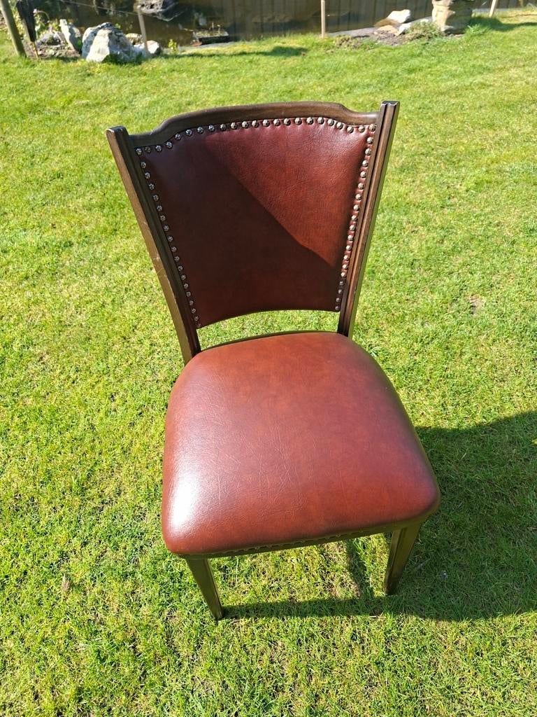 Een bruine skaileder stoel, Ophalen, Gebruikt, Bruin, Eén