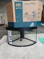 Juwel Trigon 190 aquarium, Dieren en Toebehoren, Vissen | Aquaria en Toebehoren, Ophalen, Gebruikt, Leeg aquarium