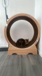 Kattenwiel (nieuw), Dieren en Toebehoren, Ophalen of Verzenden, Zo goed als nieuw, Overig speelgoed
