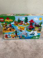 Duplo world animals, Kinderen en Baby's, Speelgoed | Duplo en Lego, Ophalen of Verzenden, Zo goed als nieuw, Duplo