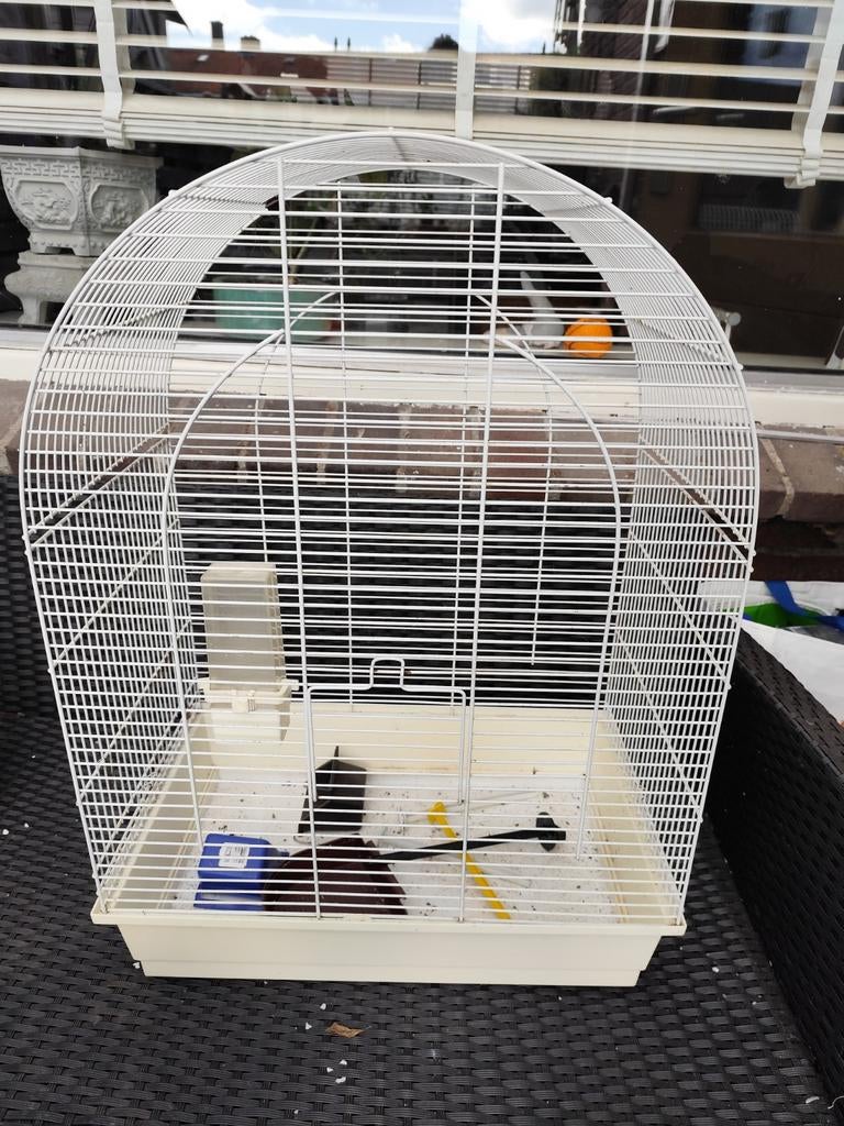 Gratis vogelkooi!!!, Dieren en Toebehoren, Vogels | Hokken en Kooien, Ophalen, Hout, Vogelkooi