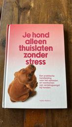 Je hond alleen thuislaten zonder stress - Hylke Walters, Ophalen of Verzenden, Zo goed als nieuw, Honden