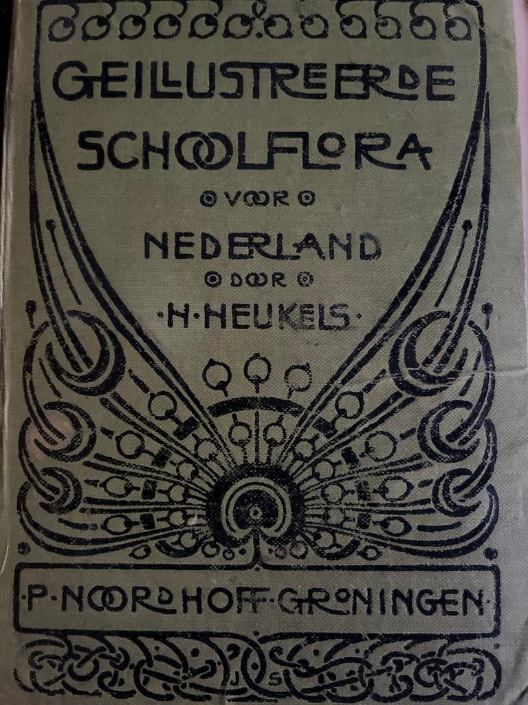 Geïllustreerde Schoolflora voor Nederland - H. Heukels, Ophalen of Verzenden, Beta, Gelezen, Overige niveaus