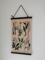 Botanische afbeeldingen op doek, Ophalen, Zo goed als nieuw