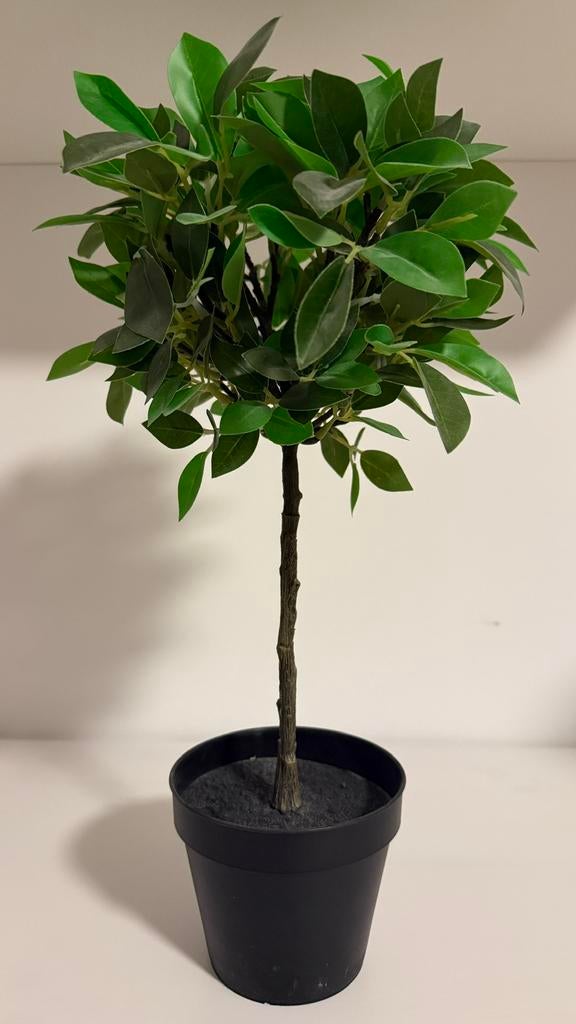 2 x Ficus Kunstplant 42 cm Hoog, Groen, Kunstplant, Nieuw, Ophalen of Verzenden