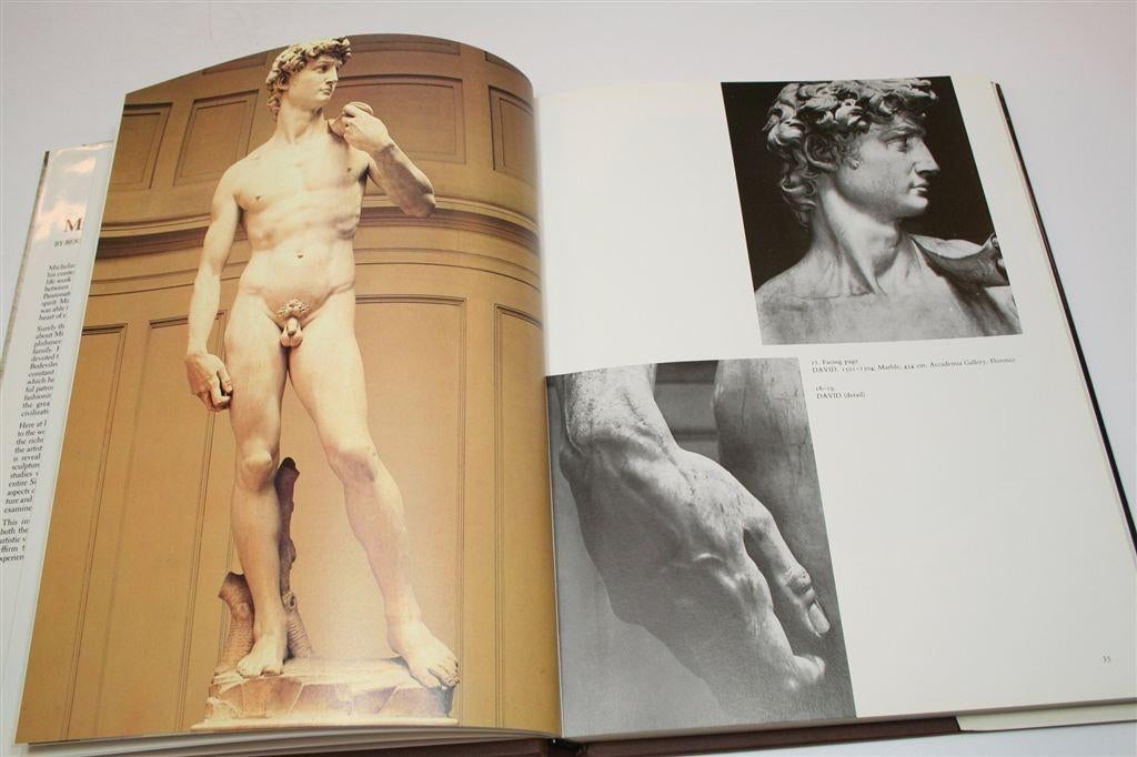 Michelangelo — Schilderijen & Beeldhouwwerk Groot Kunstboek, Ophalen of Verzenden, Gelezen
