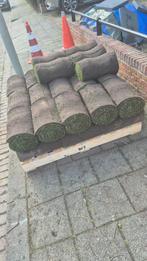 Zuid gras, Ophalen of Verzenden, Zo goed als nieuw, Minder dan 10 m²