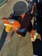 3 westernzadels 1 dresuurzadel te koop, Dieren en Toebehoren, Paarden en Pony's | Zadels, Ophalen of Verzenden, Dressuur