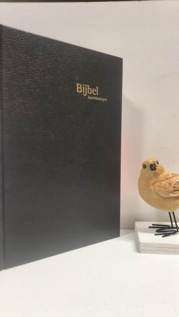 Bijbel,  GBS met kanttekeningen, Ophalen of Verzenden, Gelezen, Christendom | Protestants