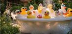 Bad eendjes gevraagd voor mijn badeendentuin, Ophalen of Verzenden
