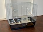 Grote vogelkooi / parkietenkooi – compleet met accessoires, Dieren en Toebehoren, Vogels | Hokken en Kooien, Ophalen, Gebruikt