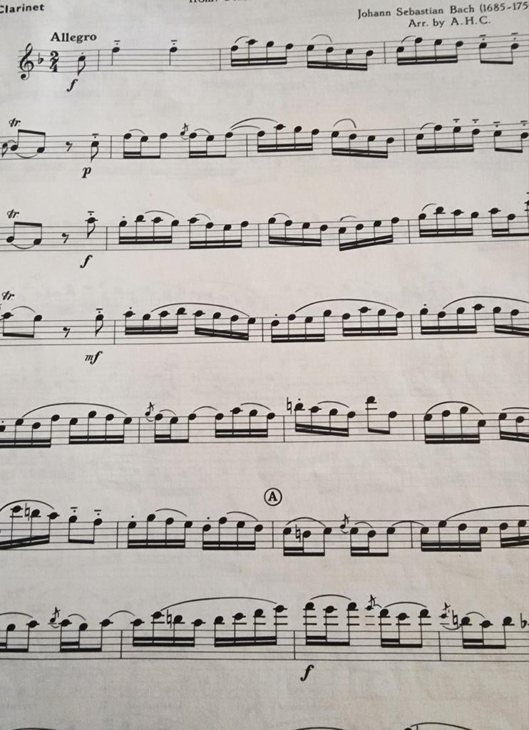 Solos for the Clarinet Player bladmuziek. Klarinet en Piano., Muziek en Instrumenten, Bladmuziek, Klarinet, Gebruikt, Klassiek