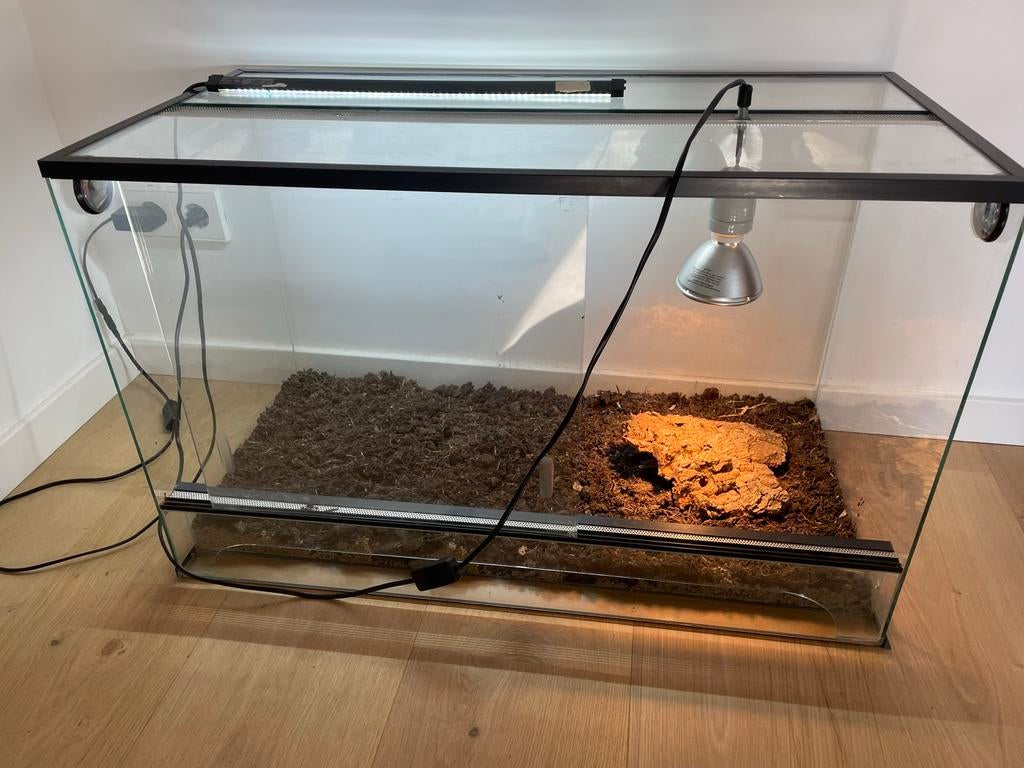 Prachtig compleet terrarium, Dieren en Toebehoren, Reptielen en Amfibieën | Toebehoren, Ophalen, Zo goed als nieuw, Verlichting