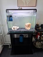 Superfish Aquarium 85 liter, Dieren en Toebehoren, Ophalen of Verzenden, Zo goed als nieuw, Leeg aquarium