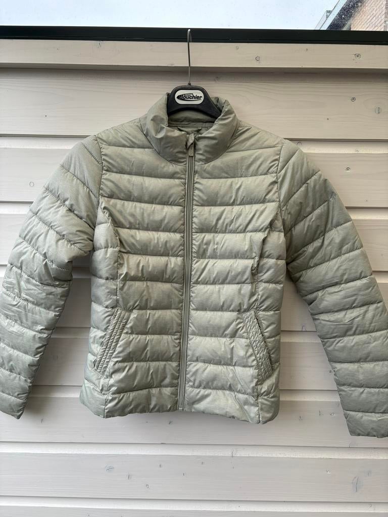 Cotton club jasje, Kleding | Dames, Jassen | Zomer, Ophalen of Verzenden, Gedragen