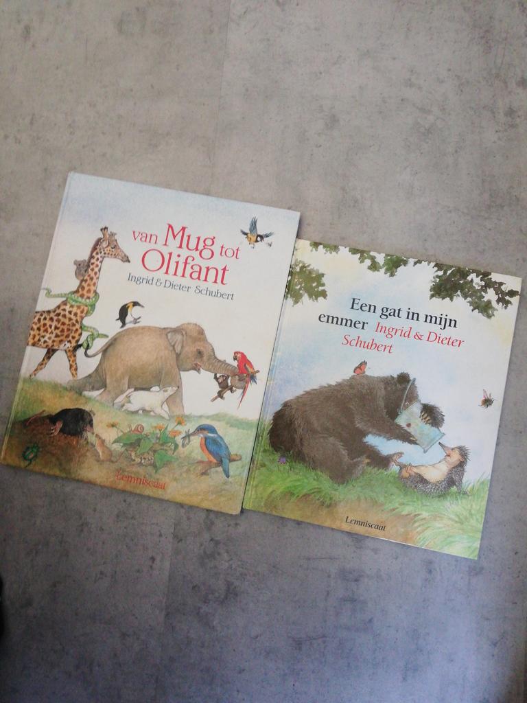 Van mug tot olifant /een gat in mijn emmer, Schubert, Boeken, Ophalen of Verzenden, Zo goed als nieuw, Prentenboek