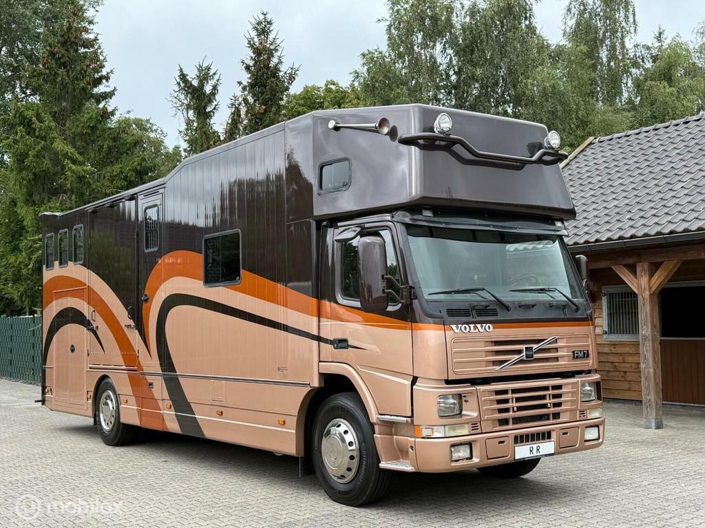 Volvo FM250 4x2 Paardenvrachtwagen Paardenwagen Living Luxe, Dieren en Toebehoren, Gebruikt, Overige typen
