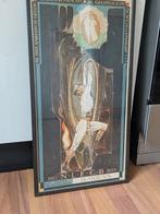 Bekende poster van de Vecht Ned litho foto chemig  bond, Ophalen of Verzenden