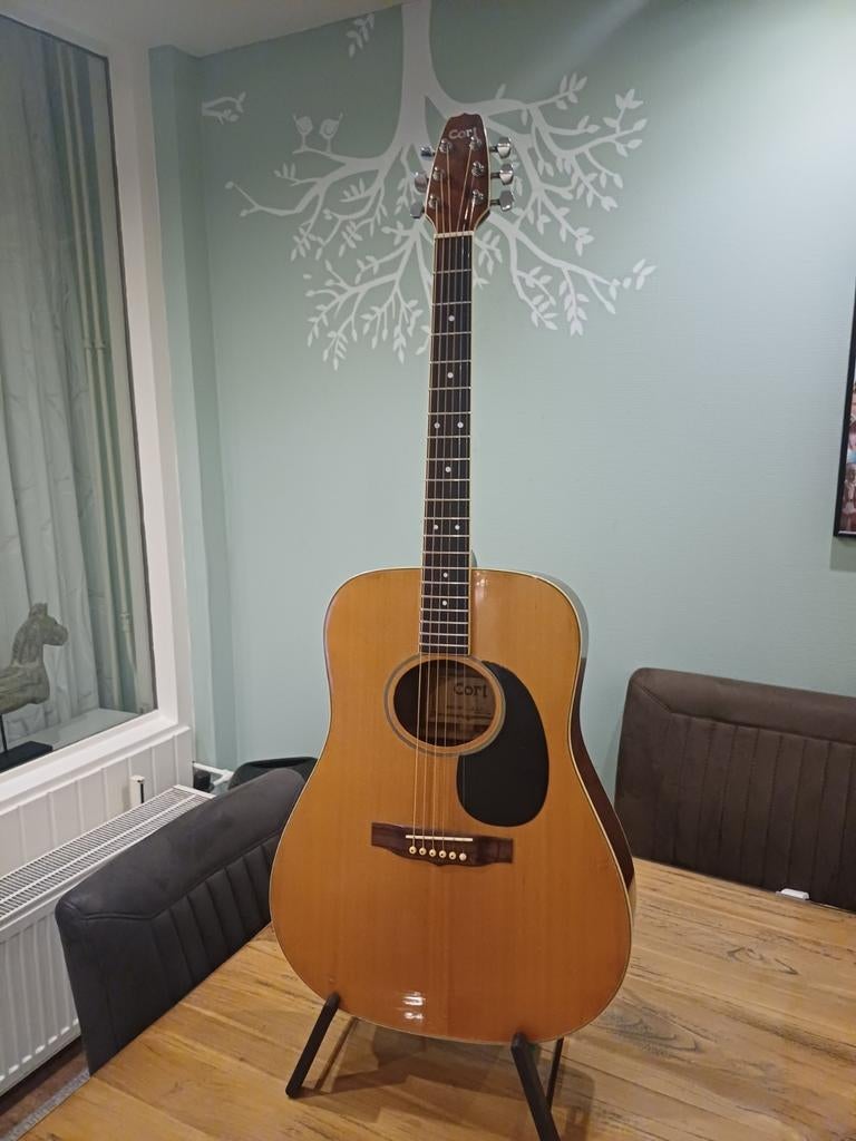 Vintage Cort AJ881 Western gitaar, Ophalen