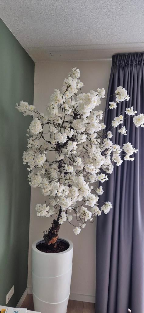 Bloesem met vaas, Huis en Inrichting, Woonaccessoires | Vazen, Ophalen