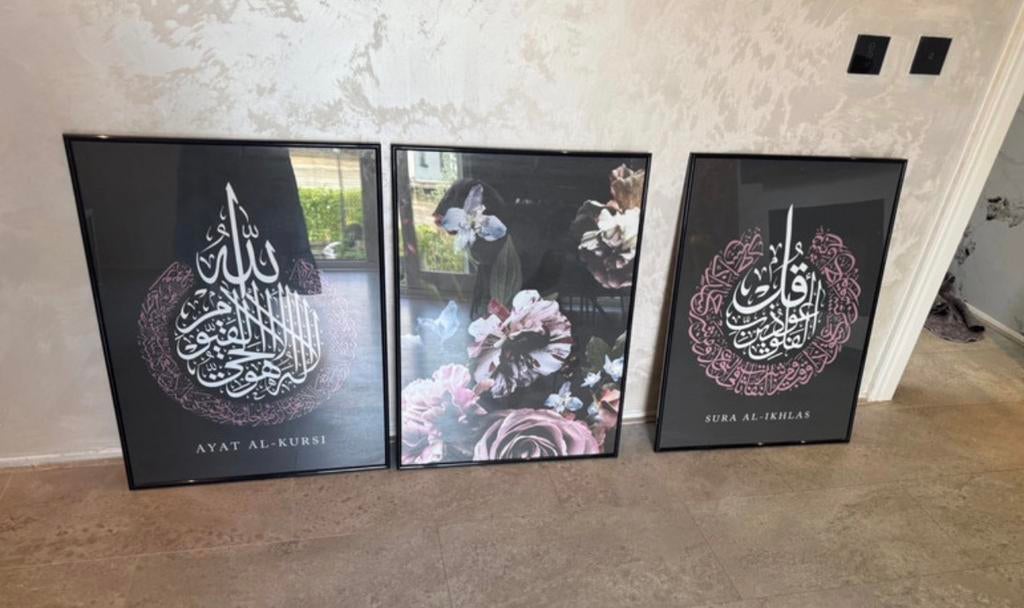 Zeer mooie schilderijen, Ophalen of Verzenden, Zo goed als nieuw