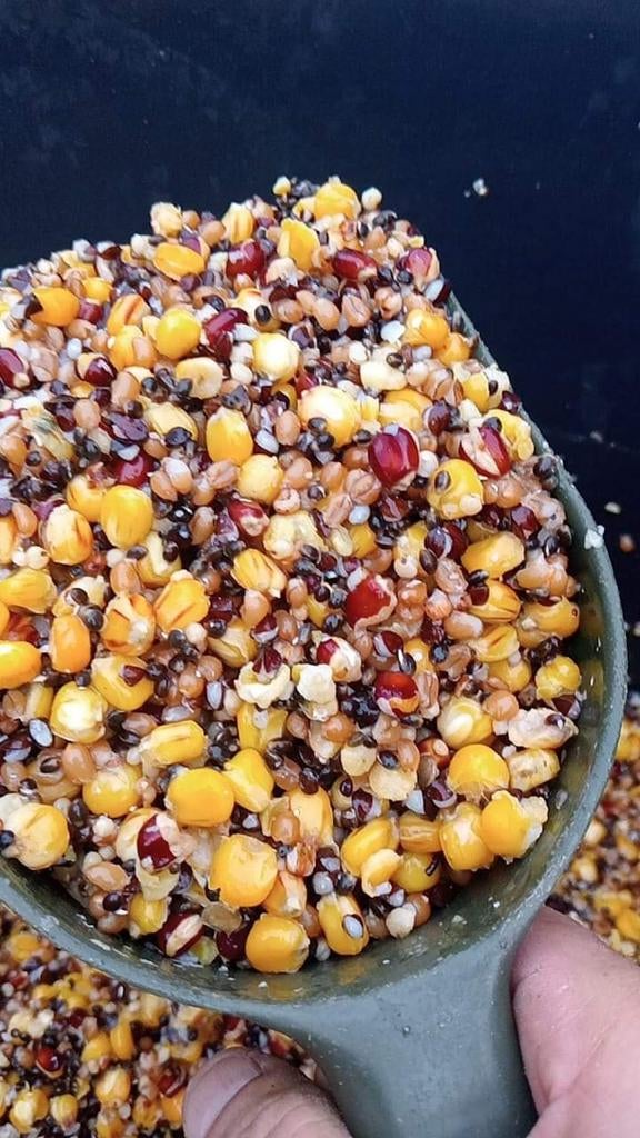 Verse partikels voor de hengelsport, Watersport en Boten, Hengelsport | Algemeen, Nieuw, Ophalen of Verzenden