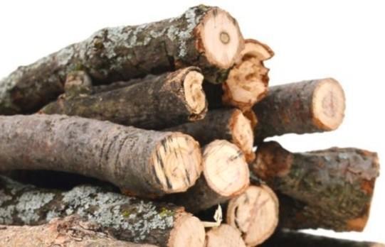 Boomstammen eik populier * gratis bezorgd, Tuin en Terras, Haardhout, Stammen, Eikenhout, 3 tot 6 m³, Ophalen