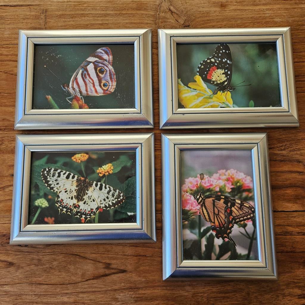 Foto Lijstjes - Set van 4, Ophalen of Verzenden, Gebruikt