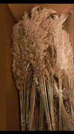 Doos met ong 1000 pluimen 100 cm lang, Ophalen, Nieuw