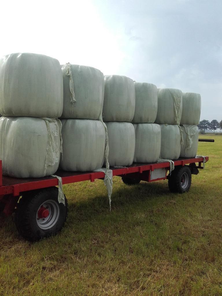 Midibalen bijna hooi, Dieren en Toebehoren, Dierenvoeding, Vee, Ophalen