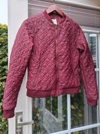 Bomber jasje. Bomberjack. Bien Bleu. Bordeaux. Maat M. Zgan, Maat 38/40 (M), Ophalen of Verzenden, Zo goed als nieuw, Jasje