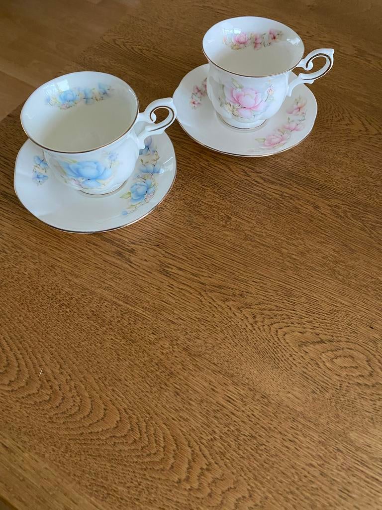 Royal Canterbury Satsuma kop en schotel - Roze & Blauw, Ophalen of Verzenden, Zo goed als nieuw, Porselein, Kop en/of schotel