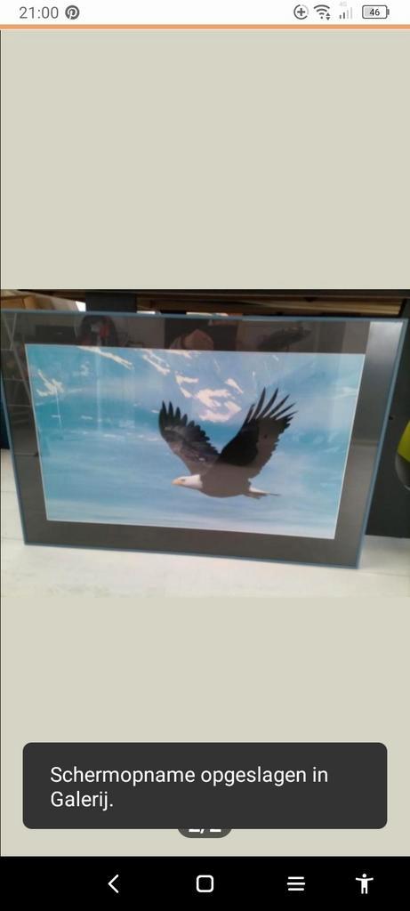 Adelaar in vlucht - Schilderij .OPHALEN!!!, Huis en Inrichting, Woonaccessoires | Schilderijen, Tekeningen en Foto's, Zo goed als nieuw