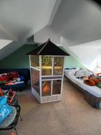 reptielen, Hagedis, Met terrarium, 3 tot 6 jaar
