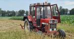 Kleine pakken hooi! Van de gildegrond in Haps, Dieren en Toebehoren, Ophalen, Overige soorten