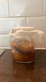 kombucha met scoby starter, Ophalen