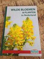 Wilde Bloemen & Planten in Nederland door Neil Fletcher, Boeken, Neil Fletcher, Bloemen, Planten en Bomen, Nieuw, Ophalen of Verzenden