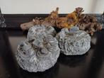 Taartjes gebakjes landelijke stijl, Huis en Inrichting, Woonaccessoires | Overige, Ophalen of Verzenden