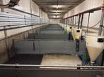 Biggen inrichting [537], Boekhorst Trading, Info@boekhorsttrading.com, Singel 16, Horssen