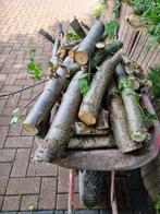 Brandhout,, Tuin en Terras, Haardhout, Minder dan 3 m³, Ophalen, Overige houtsoorten, Blokken
