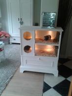 Cavia of hamster kooi (kast), Dieren en Toebehoren, Knaagdieren en Konijnen | Hokken en Kooien, Ophalen, Zo goed als nieuw, 90 cm of meer