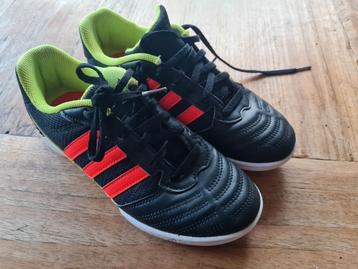 Gymschoenen Adidas, zaalgymschoenen mt 36  beschikbaar voor biedingen