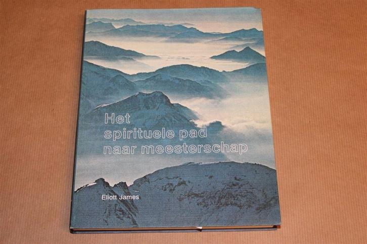 Het Spirituele Pad — Leren van Leraren van Gene Zijde, Boeken, Esoterie en Spiritualiteit, Gelezen, Achtergrond en Informatie
