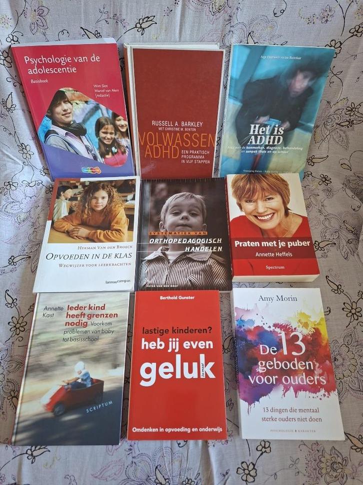 jeugdhulpverlening puber opvoeden ADHD adolescentie, Boeken, Psychologie, Zo goed als nieuw, Sociale psychologie, Ophalen of Verzenden